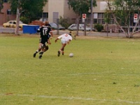 AUS NT AliceSprings 1995SEPT WRLFC SemiFinal United 001 : 1995, Alice Springs, Anzac Oval, Australia, Date, Month, NT, Places, Rugby League, September, Sports, United, Versus, Wests Rugby League Football Club, Year